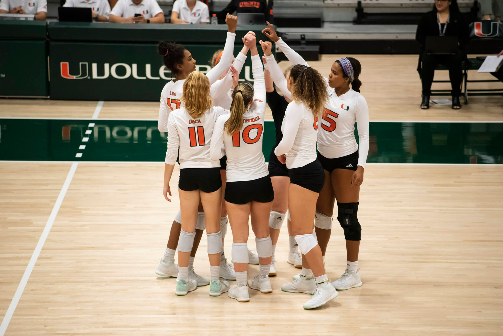 Volleyball Earns Third-Straight AVCA Academic Award