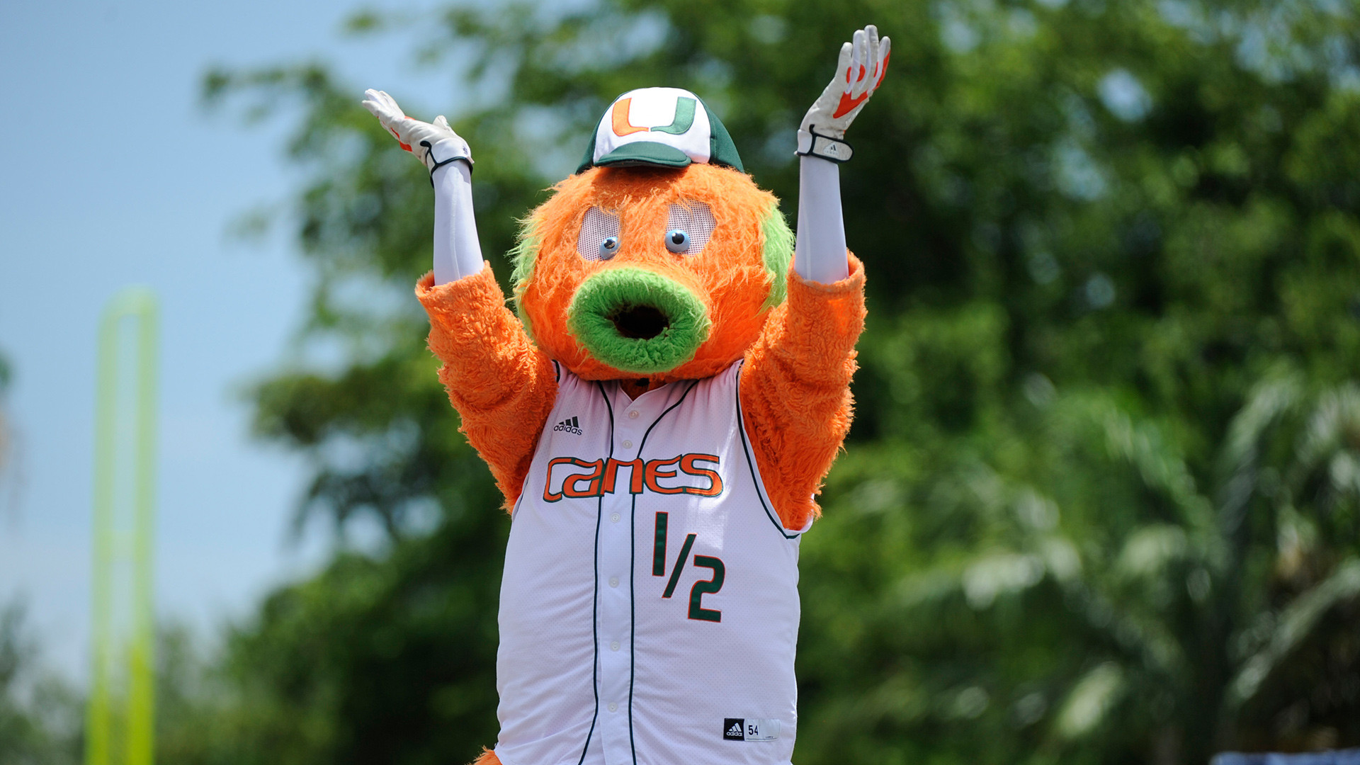 Canes Baseball Hosting Book Drive at Towson Series