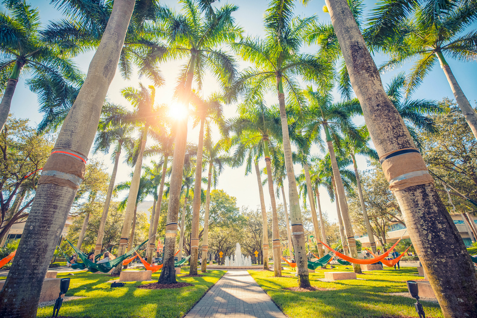 19 Student-Athletes Earn Degrees from Miami
