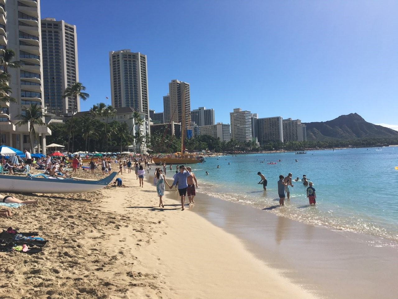 Aloha Canes