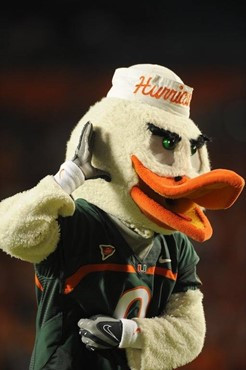 Sebastian the Ibis entertains the fans in a game against the Florida A&M Rattlers at Land Shark Stadium on October 10, 2009.  Photo by Steven Murphy,...