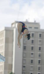 Dreyer Captures All-American Honors at the NCAA Swimming and Diving Championships