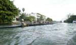 UM Varsity Eights Take Gold and Silver at the Florida Fall Regatta