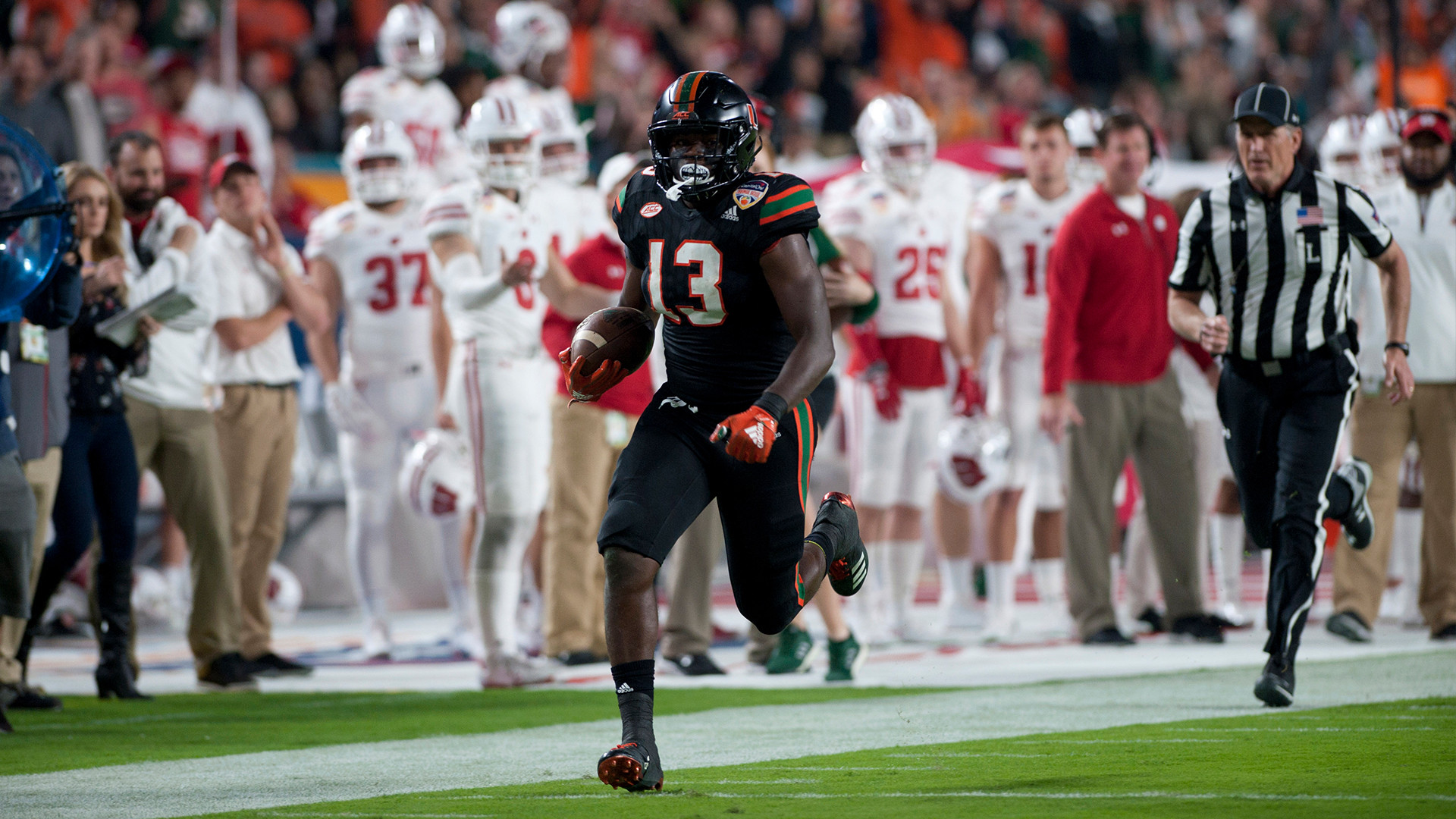 Canes in a New York State of Mind