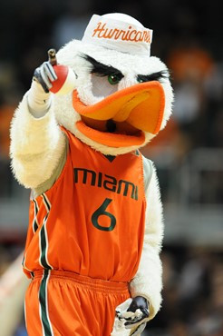 Sebastian the Ibis and Fans cheer for The University of Miami Hurricanes as they played host to the North Carolina Tar Heels at the BankUnited Center...