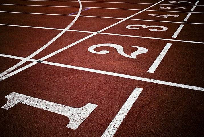 Going the Distance: Alexis Wright