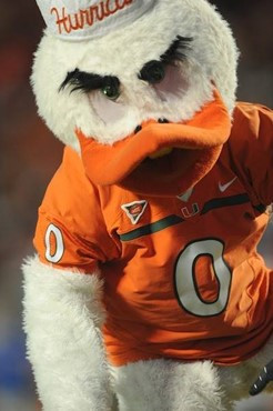 Sebastian the Ibis of the University of Miami Hurricanes in a game against the Florida A&amp;M Rattlers at Sun Life Stadium on September 2, 2010. ...
