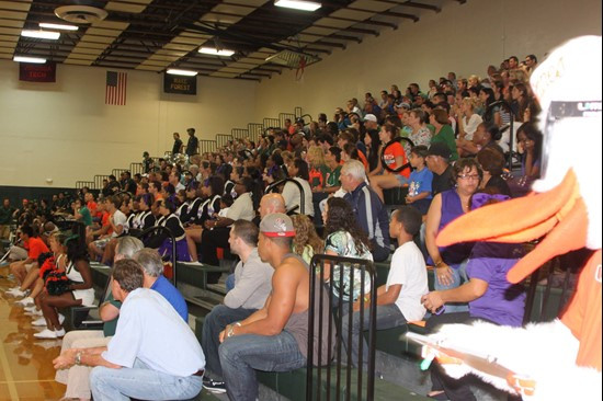 Volleyball Fans, Sebastian the Ibis