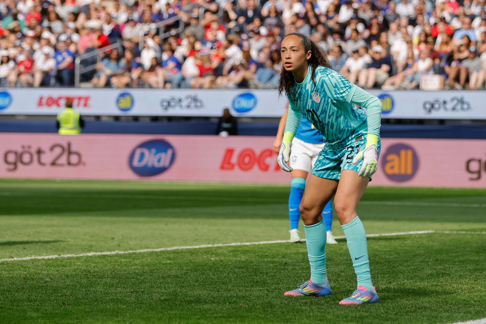 Shining in the International Spotlight
