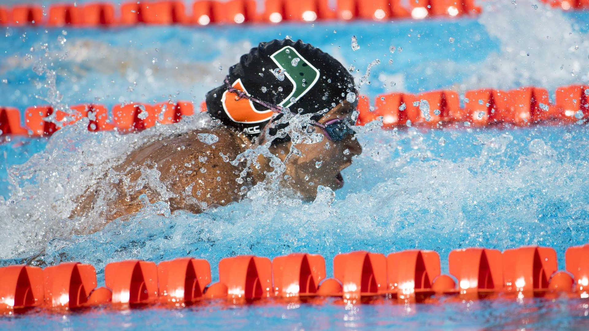 Swim / Dive Splits Tri-Meet with FIU, Illinois