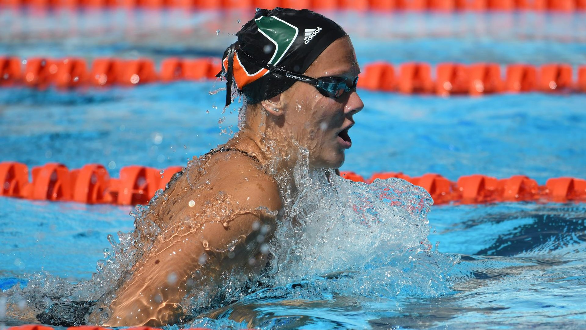 Swim / Dive Splits Tri-Meet in Tallahassee