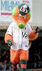 Hurricanes Baseball To Hold FanFest February 14th