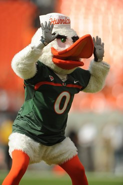 Sebastian the Ibis entertains fans in a game between the University of Miami Hurricanes and the University of South Florida Bulls at Sun Life Stadium...