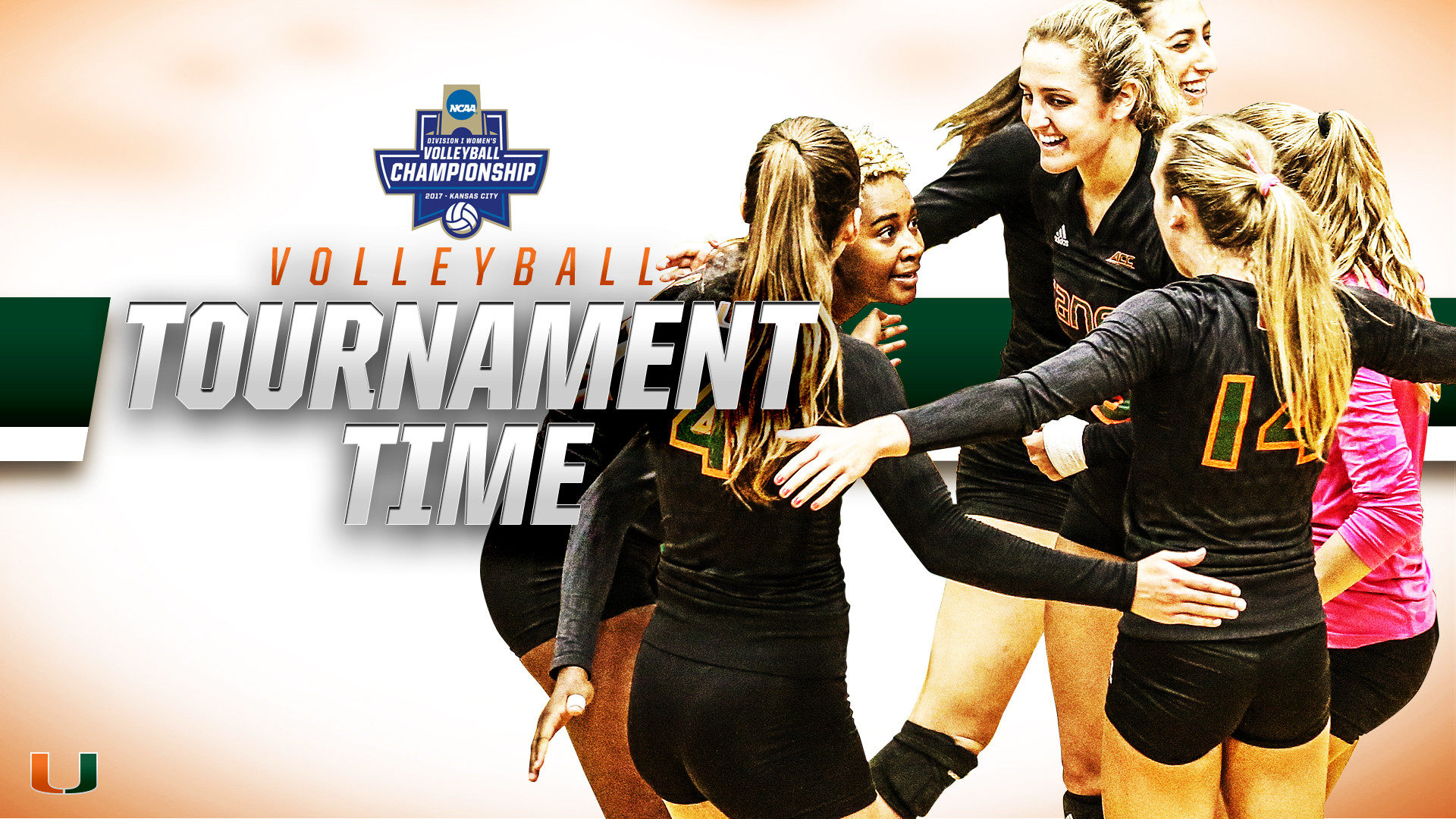 Volleyball Earns Bid to NCAA Tournament
