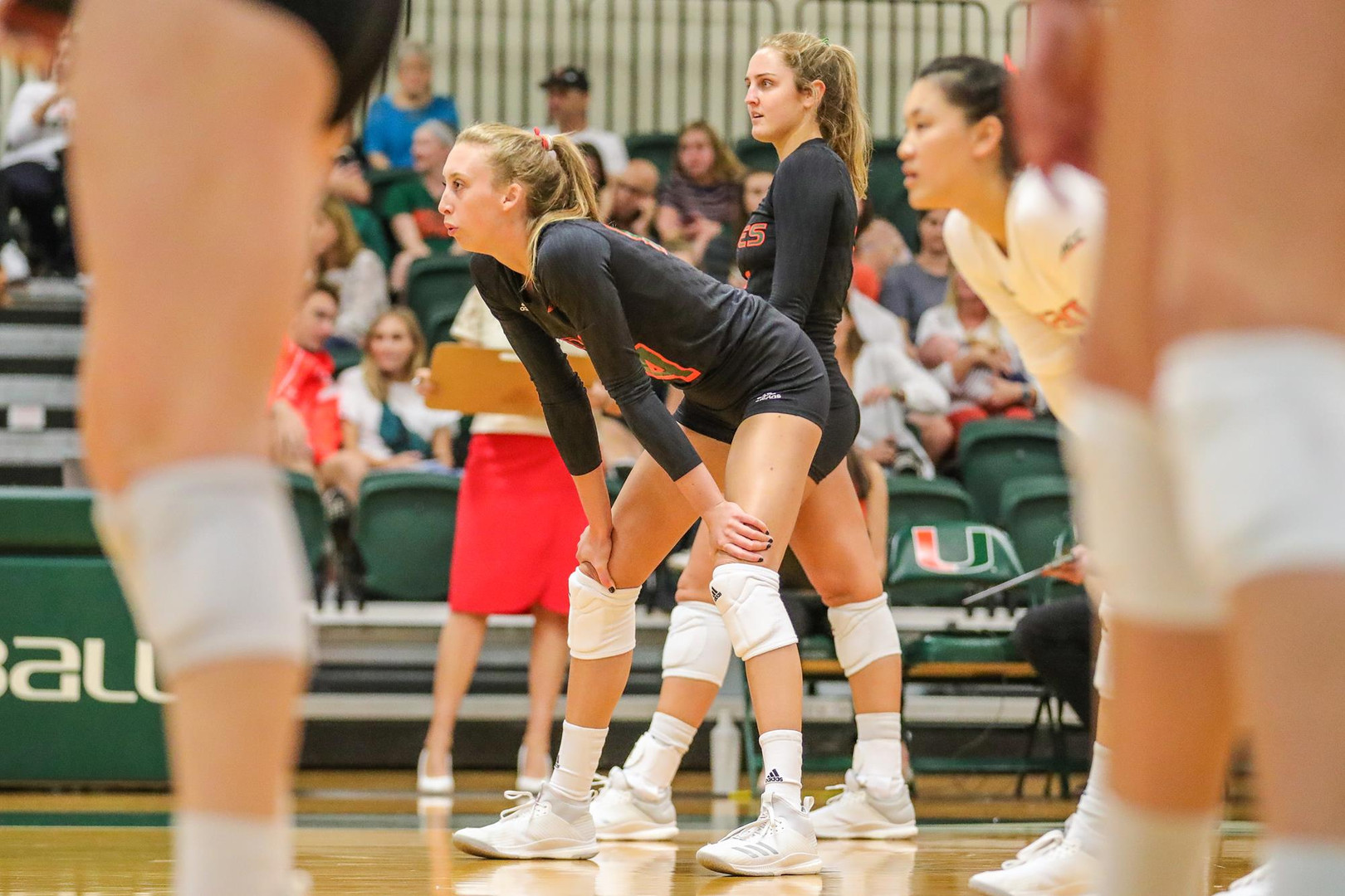 Volleyball Takes No. 10 Pitt to Five on Senior Day