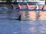 Women's Rowing Travel to Boston, Mass. for the XXXVIII Head of the Charles