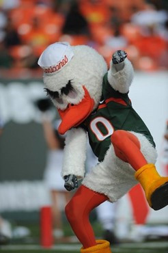 Sebastian the Ibis durring the University of Miami Hurricanes game against the Duke Blue Devils at Land Shark Stadium on November 21, 2009.  Photo by...