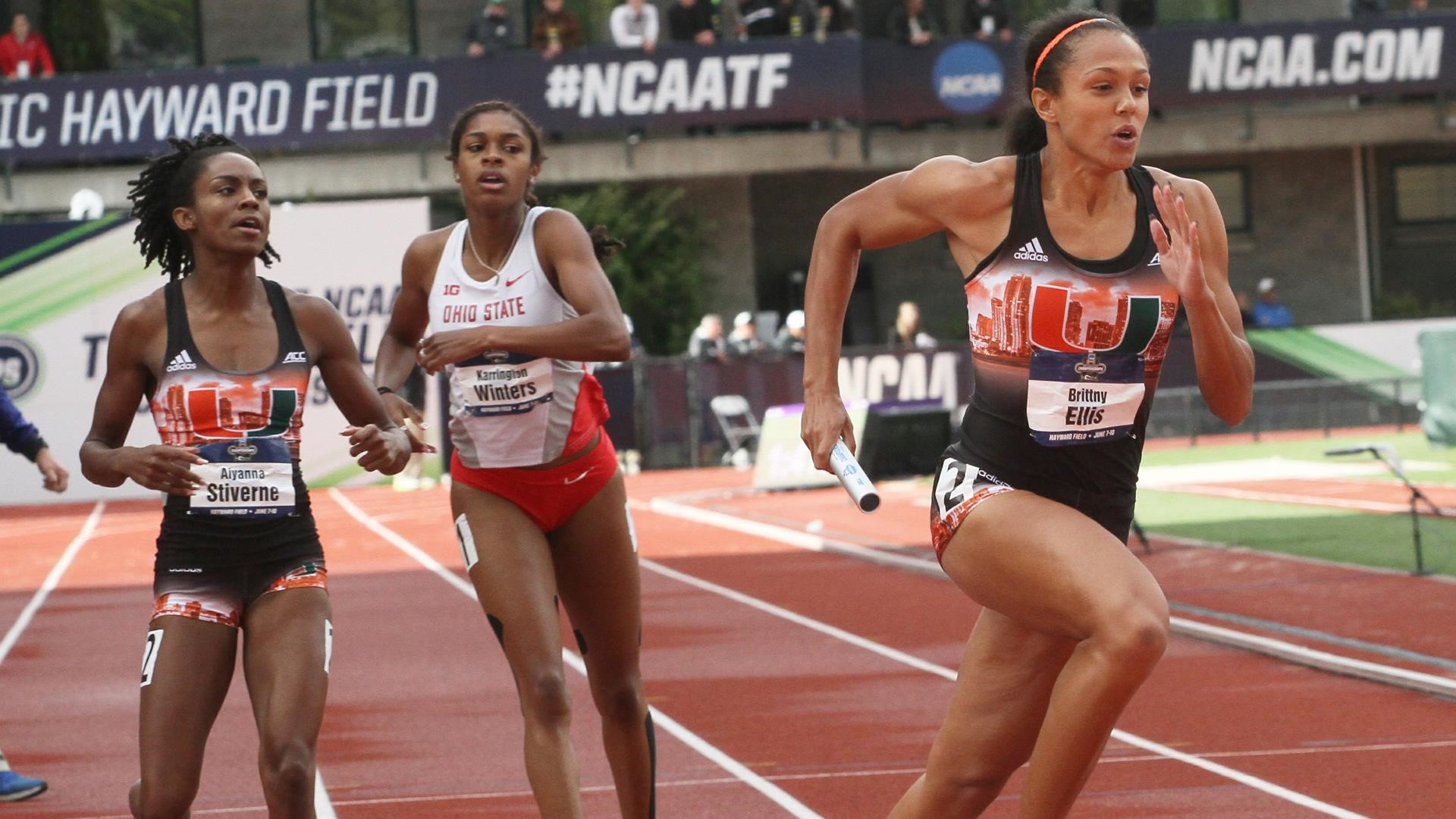 Photo Gallery: NCAA Outdoor Championships