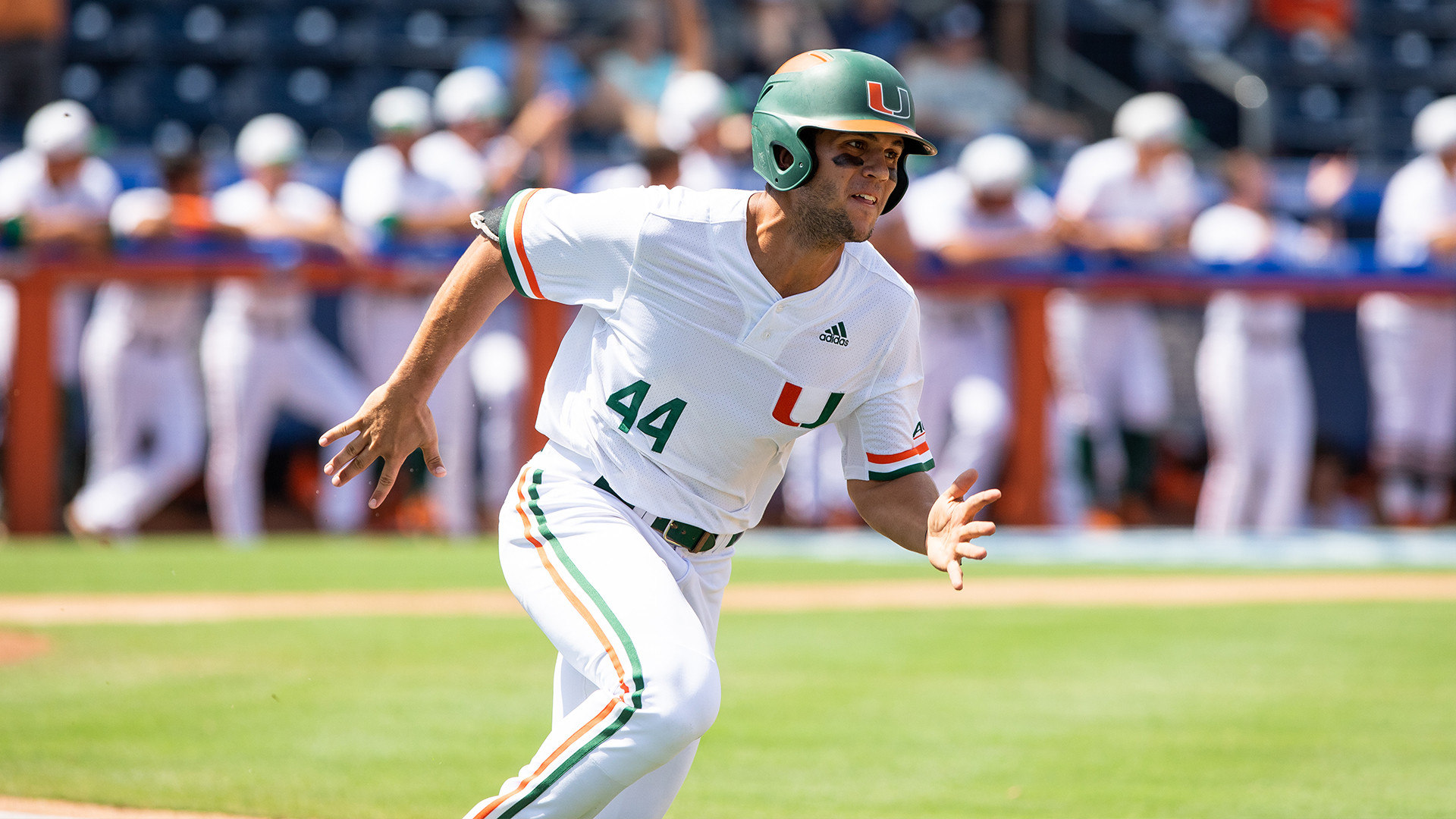 Adrian Del Castillo Named ABCA All-Region
