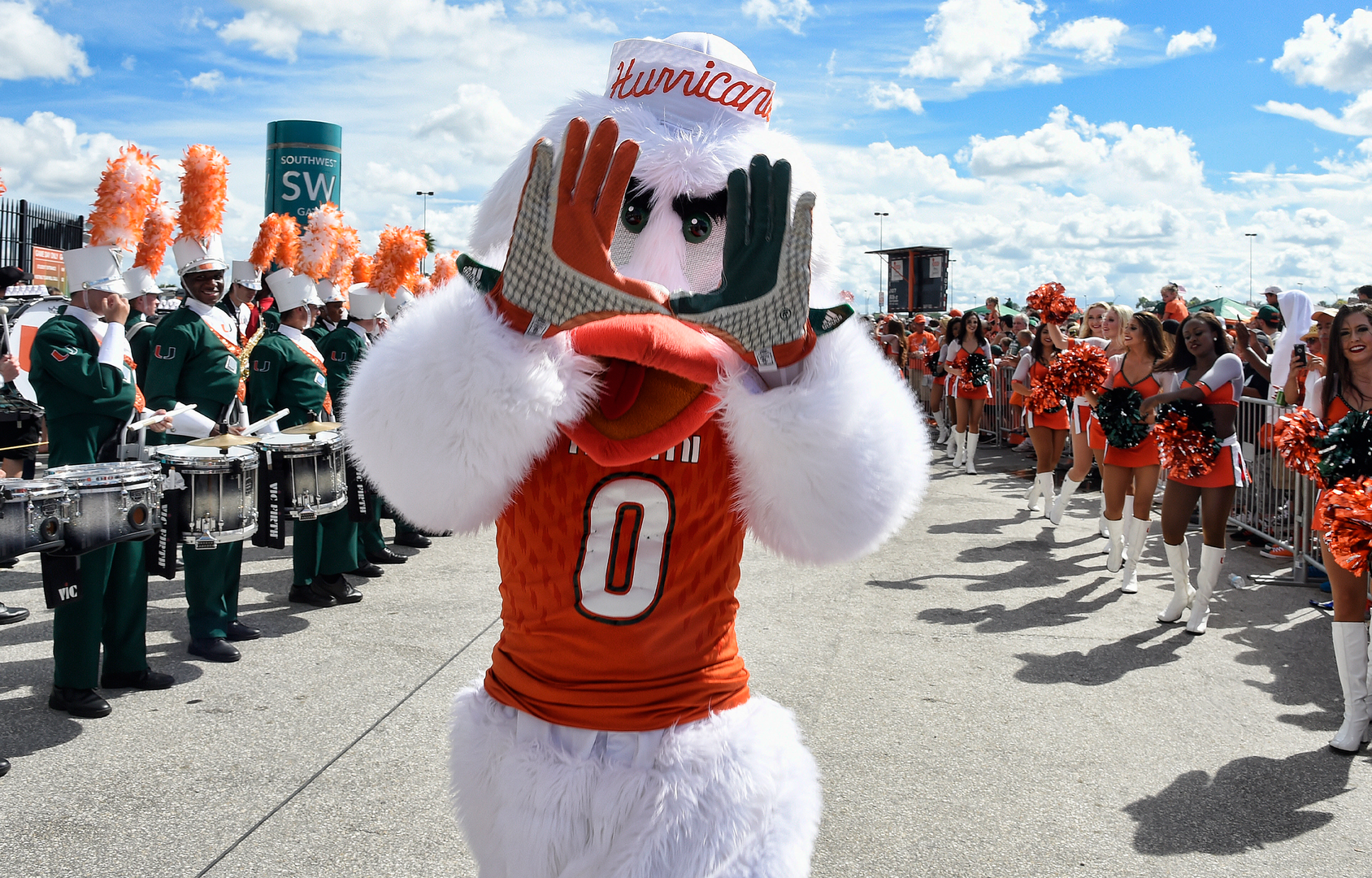Sebastian the Ibis Nominated for Mascot Hall of Fame