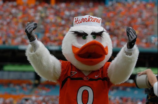 University of Miami Hurricanes Sebastian the Ibis in a game against The Florida State Seminoles at Dolphin Stadium on October 4, 2008.    Photo by...
