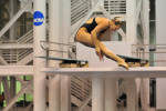 Viola Sweeps Springboard Events At ACC Championships
