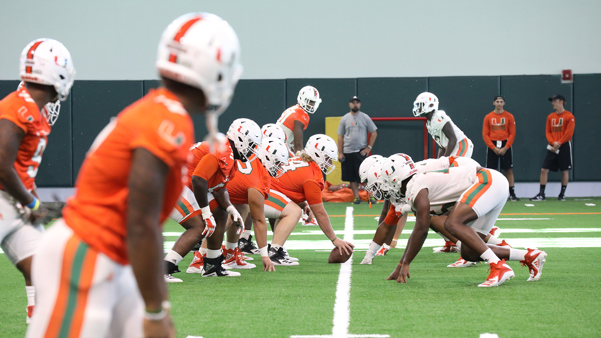 The Canes are in the Building