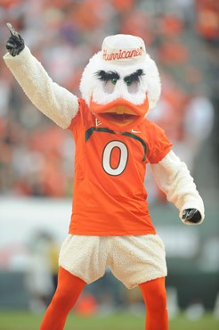 Sebastian the Ibis entertains the crowd in a game against the Kansas State Wildcats at Sun Life Stadium on September 24, 2011.  Photo by Steven Murphy