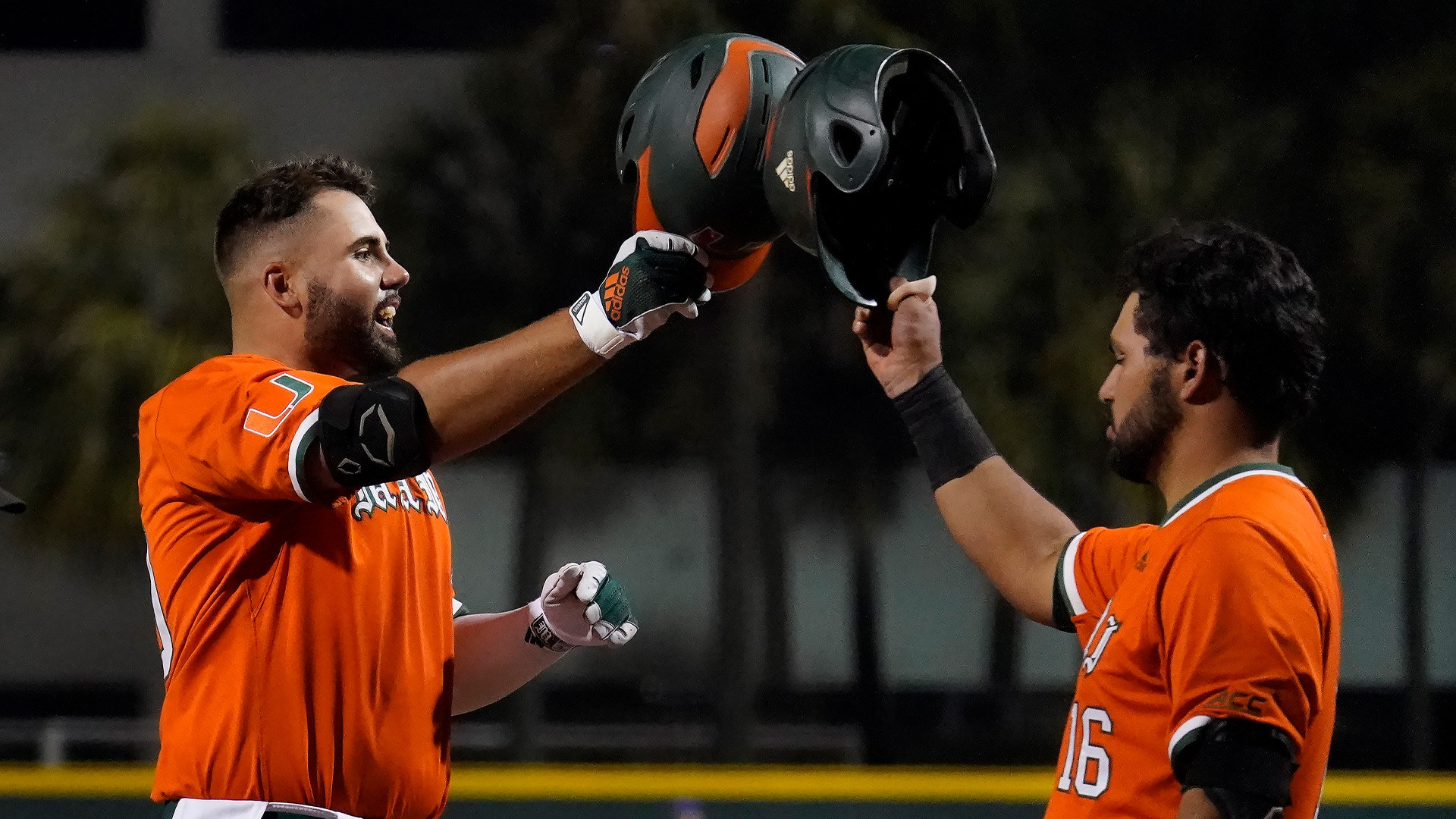 Bats Waking Up Ahead of UNC Series