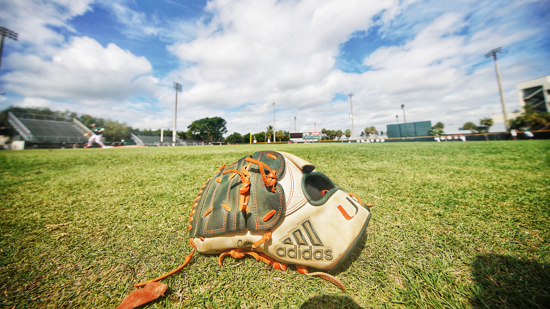 DiMare Announces January Exposure Camp