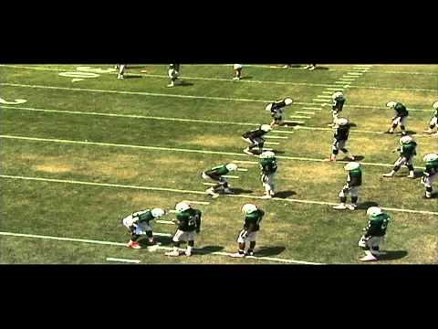 DB WEAVE LINE