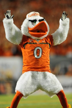 Sebastian the Ibis leads entertains fans in a game  at Sun Life Stadium on September 24, 2011.  Photo by Steven Murphy/SPN