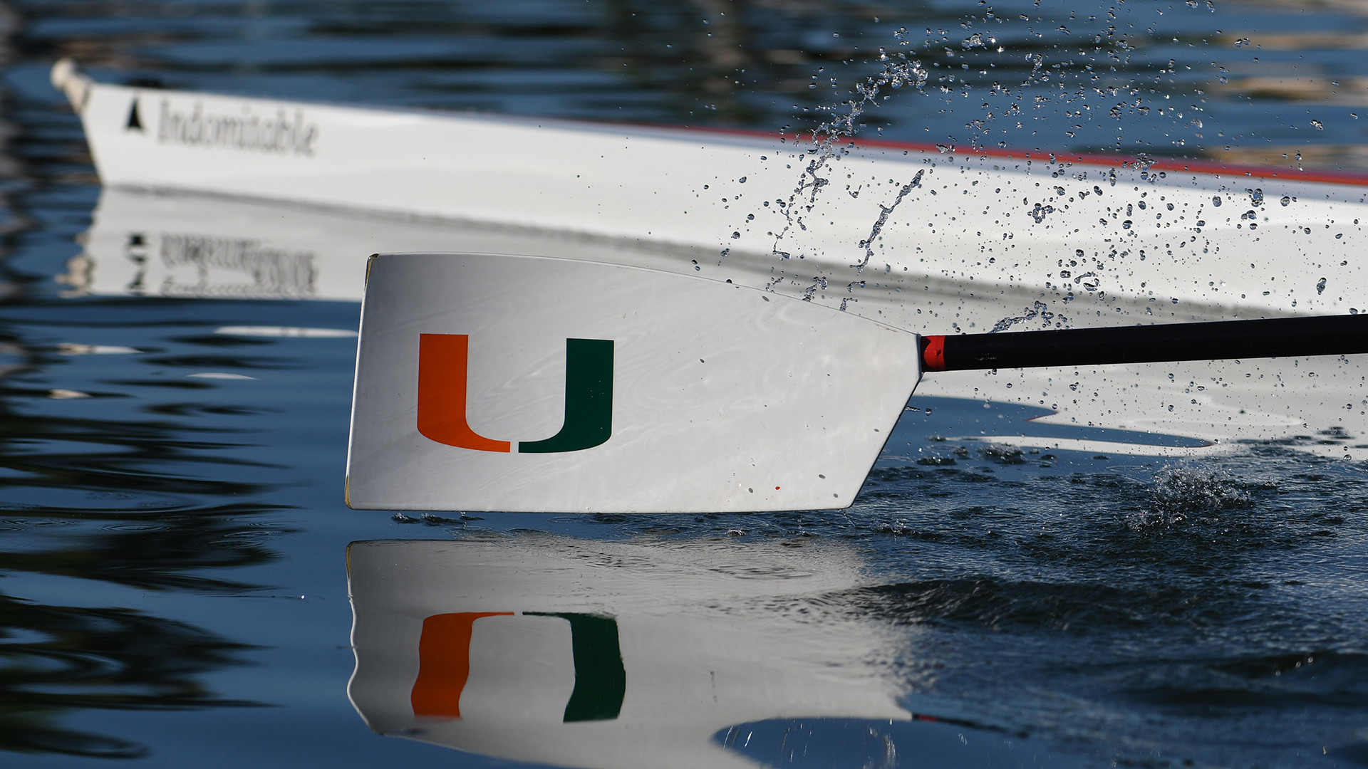 Rowing Opens Spring at Oak Ridge Cardinal Invitational