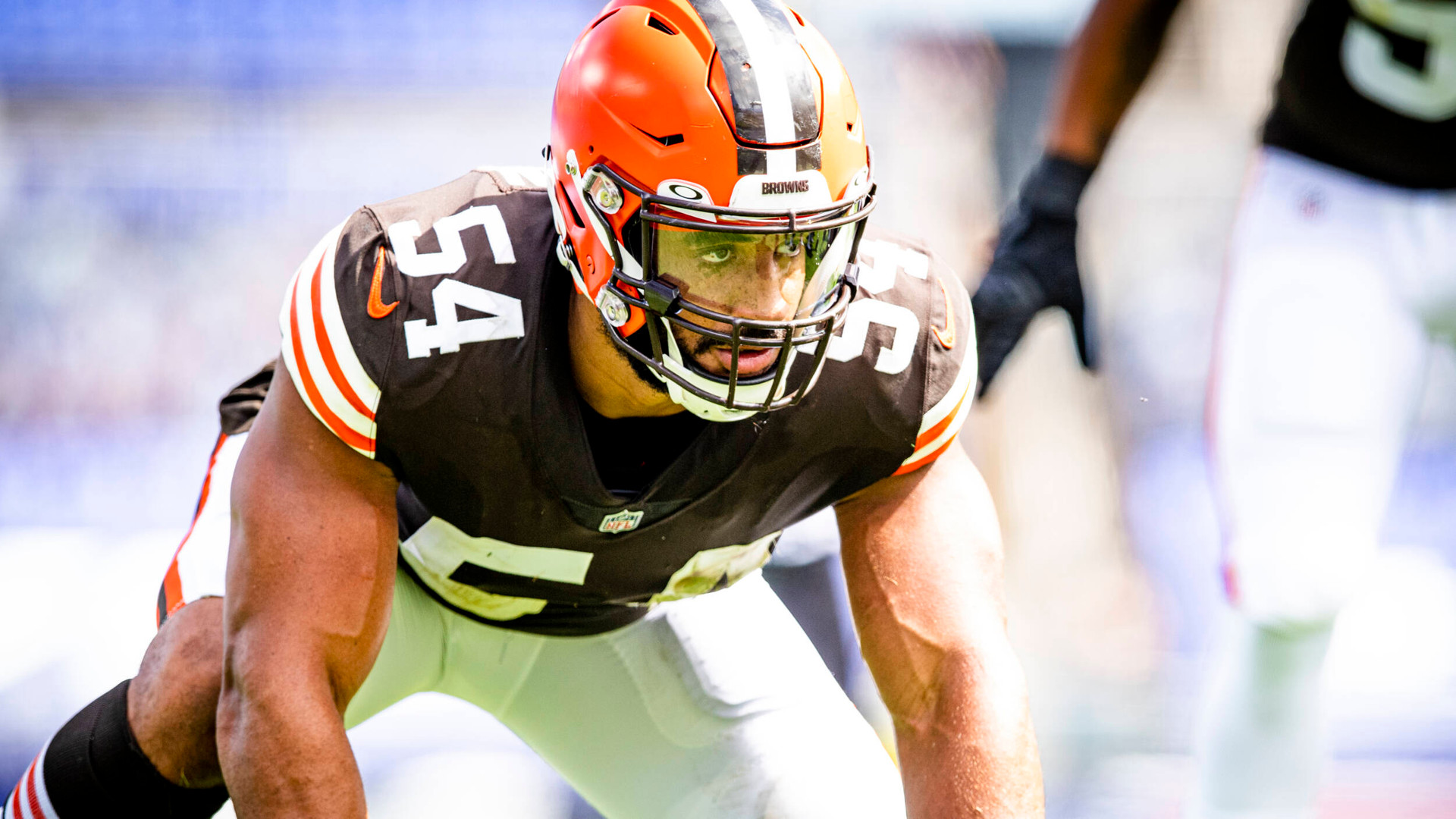Week 11 ProCanes Report: Vernon Breaks Out Versus Eagles