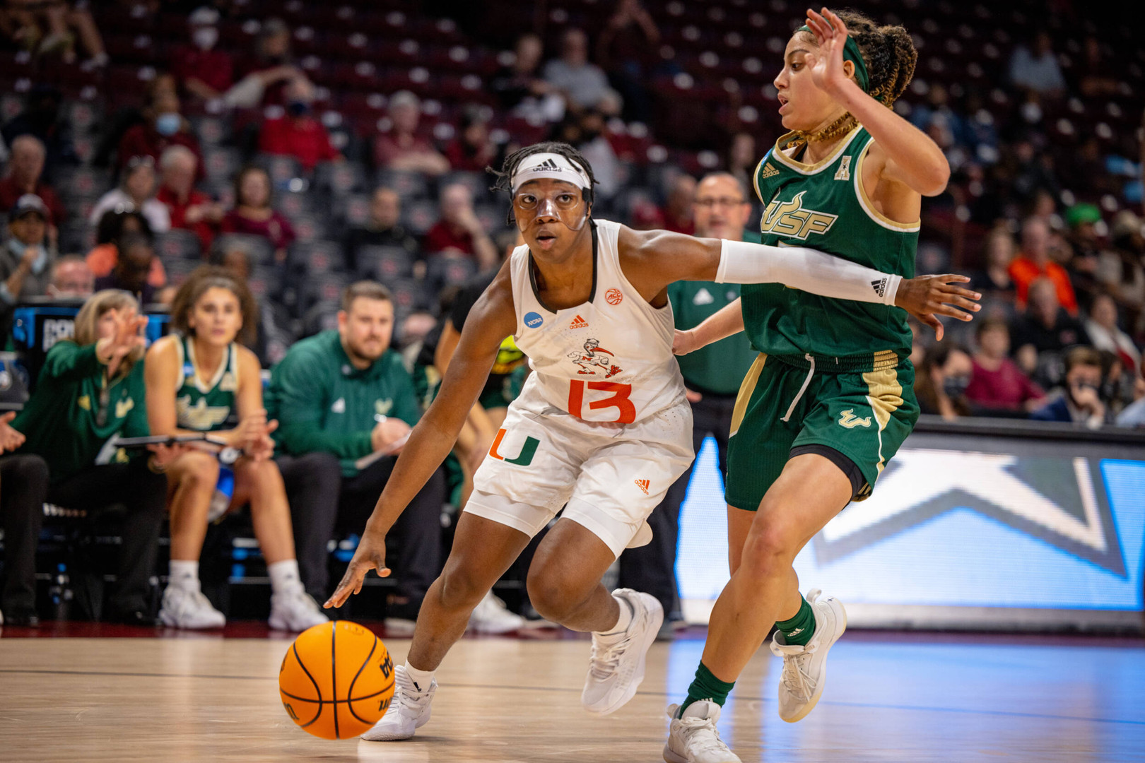 Photo Gallery: NCAA WBB Tournament First Round Win