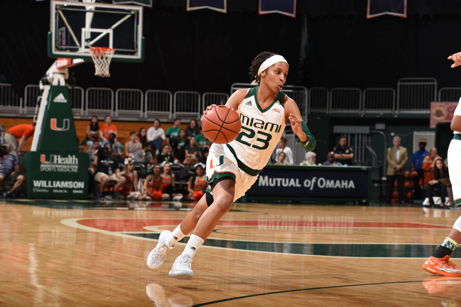 ProCanes Excelling Overseas