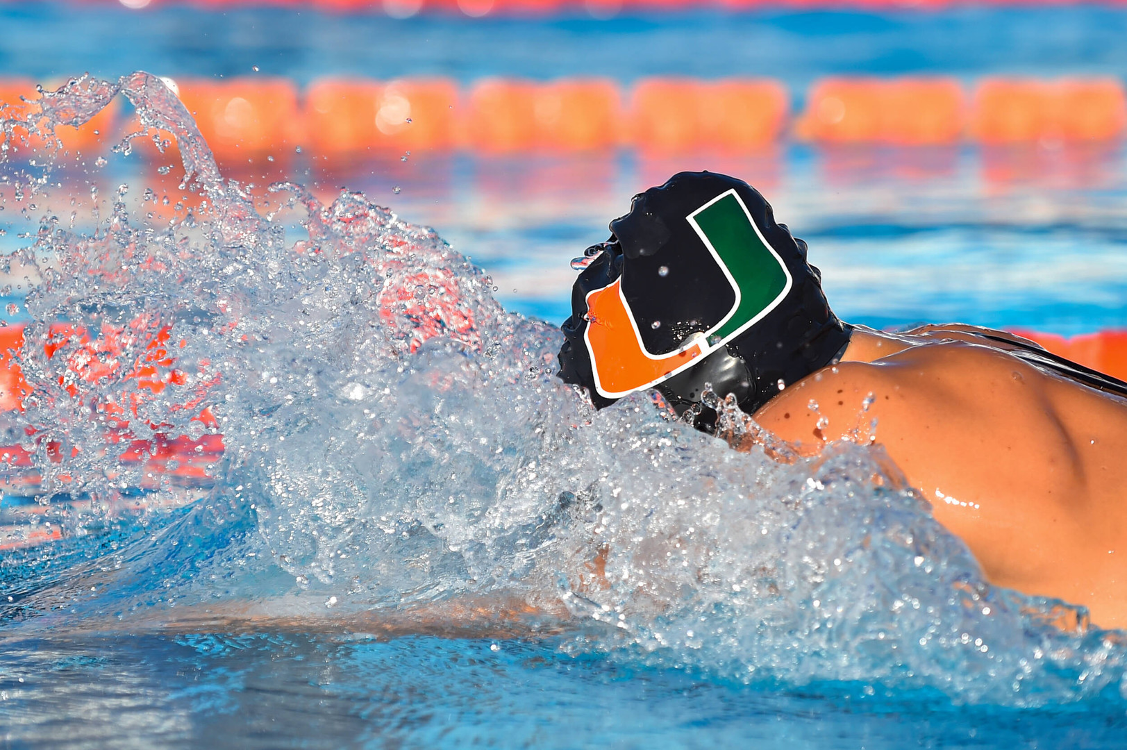 Eight Swimmers Recognized as CSCAA Scholar All-Americans