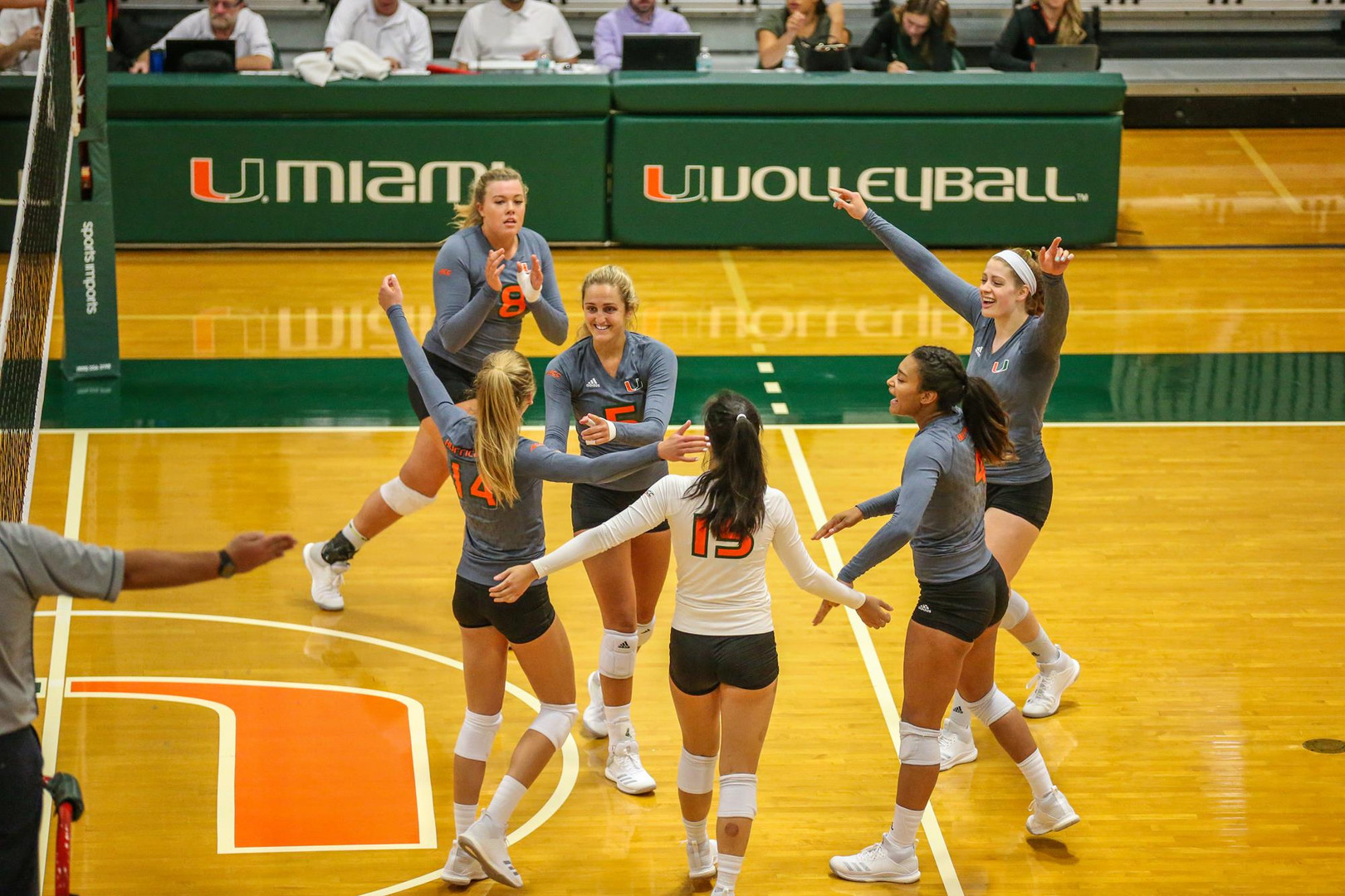 Volleyball Returns to The Knight for ACC Play