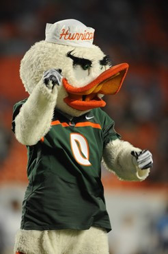 Sebastian the Ibis entertains the crowd in a game against the North Carolina Tar Heels at Sun Life Stadium on October 23, 2010.  Photo by Steven...