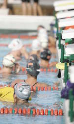 Swimming and Diving Defeat Florida International