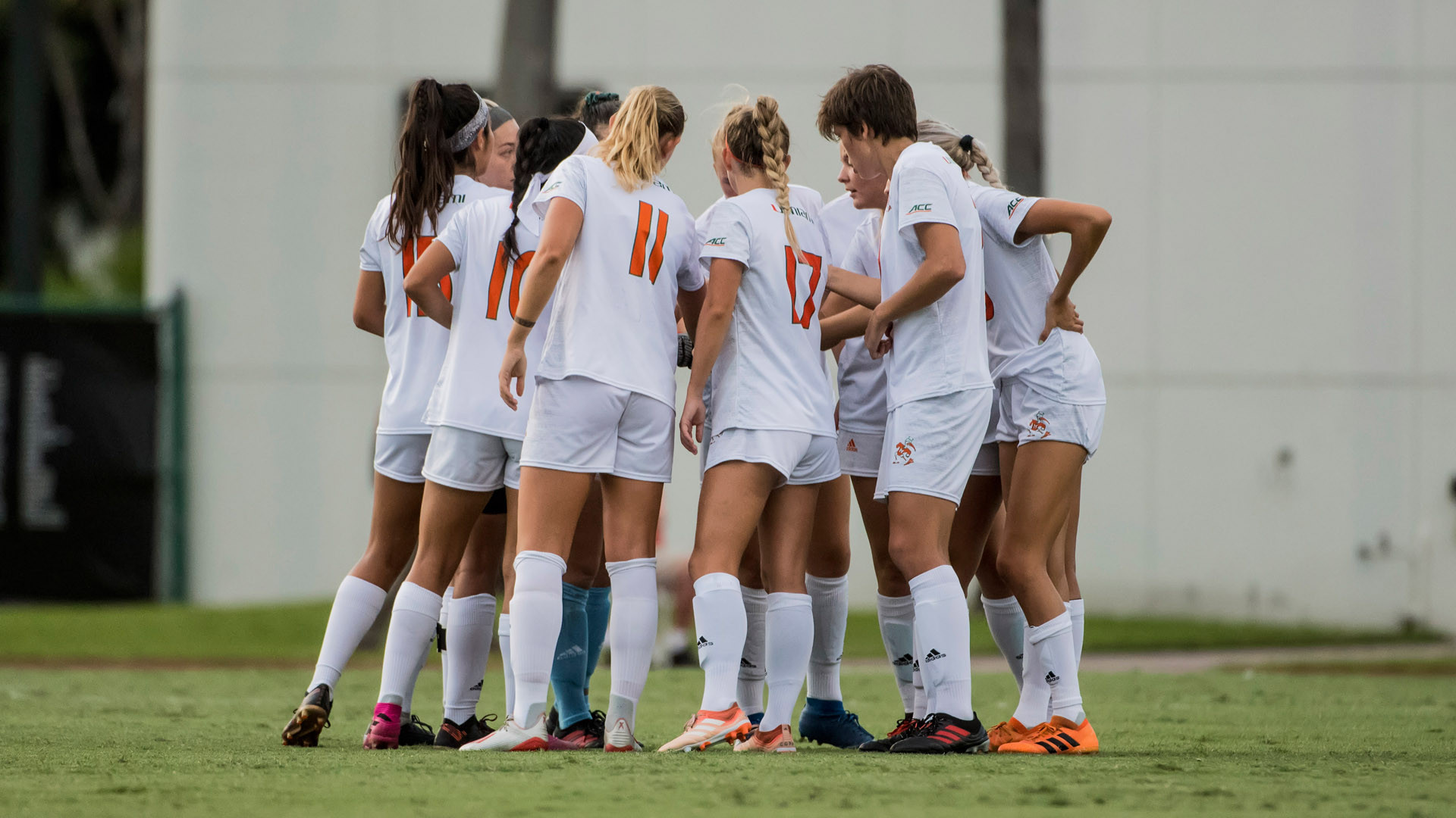 Miami Falls at Notre Dame, 3-0