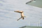 Ross Places Third In CAMO's Three-Meter Event