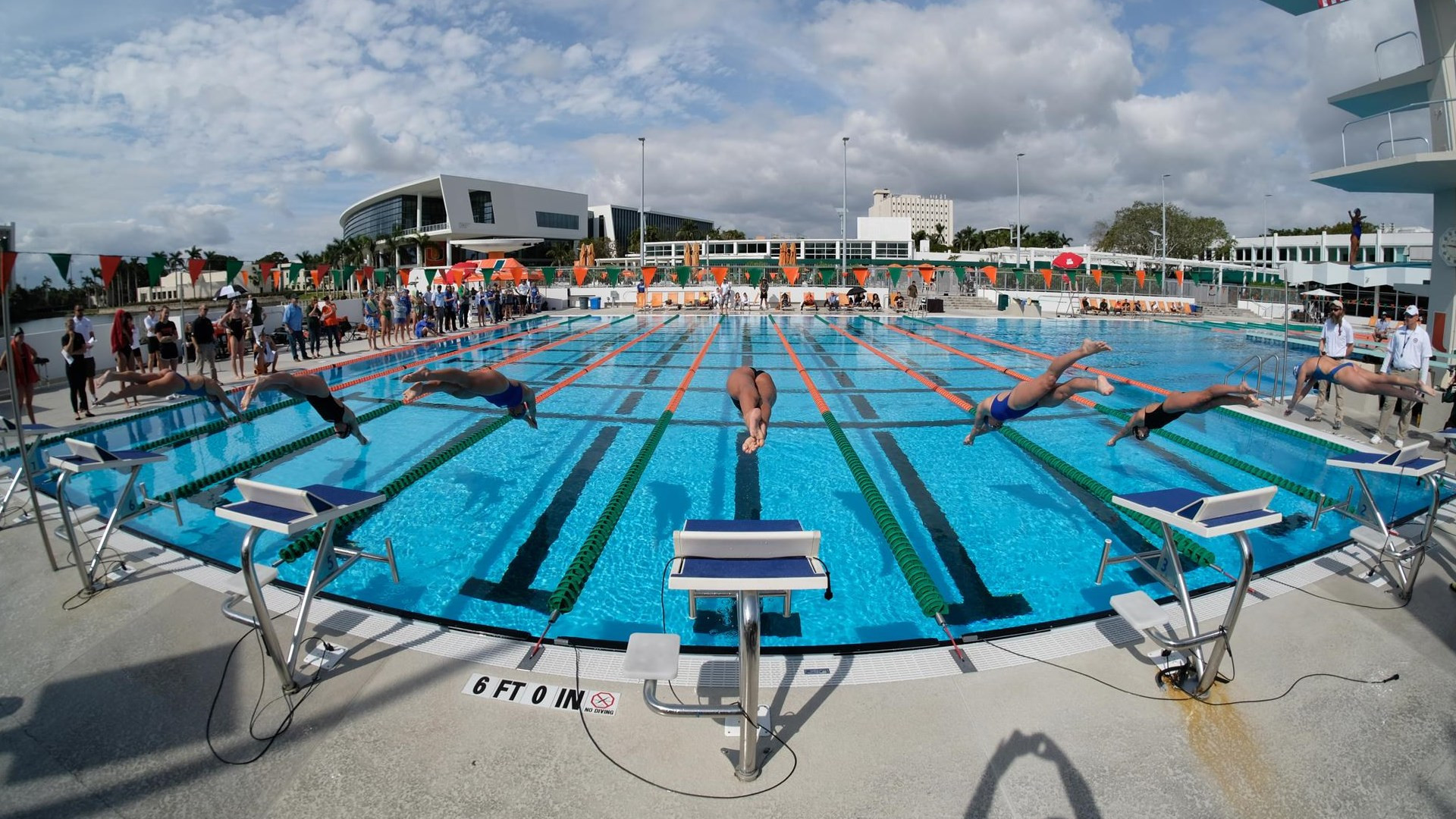 Swim / Dive Falls to Gators in Dual Meet Opener