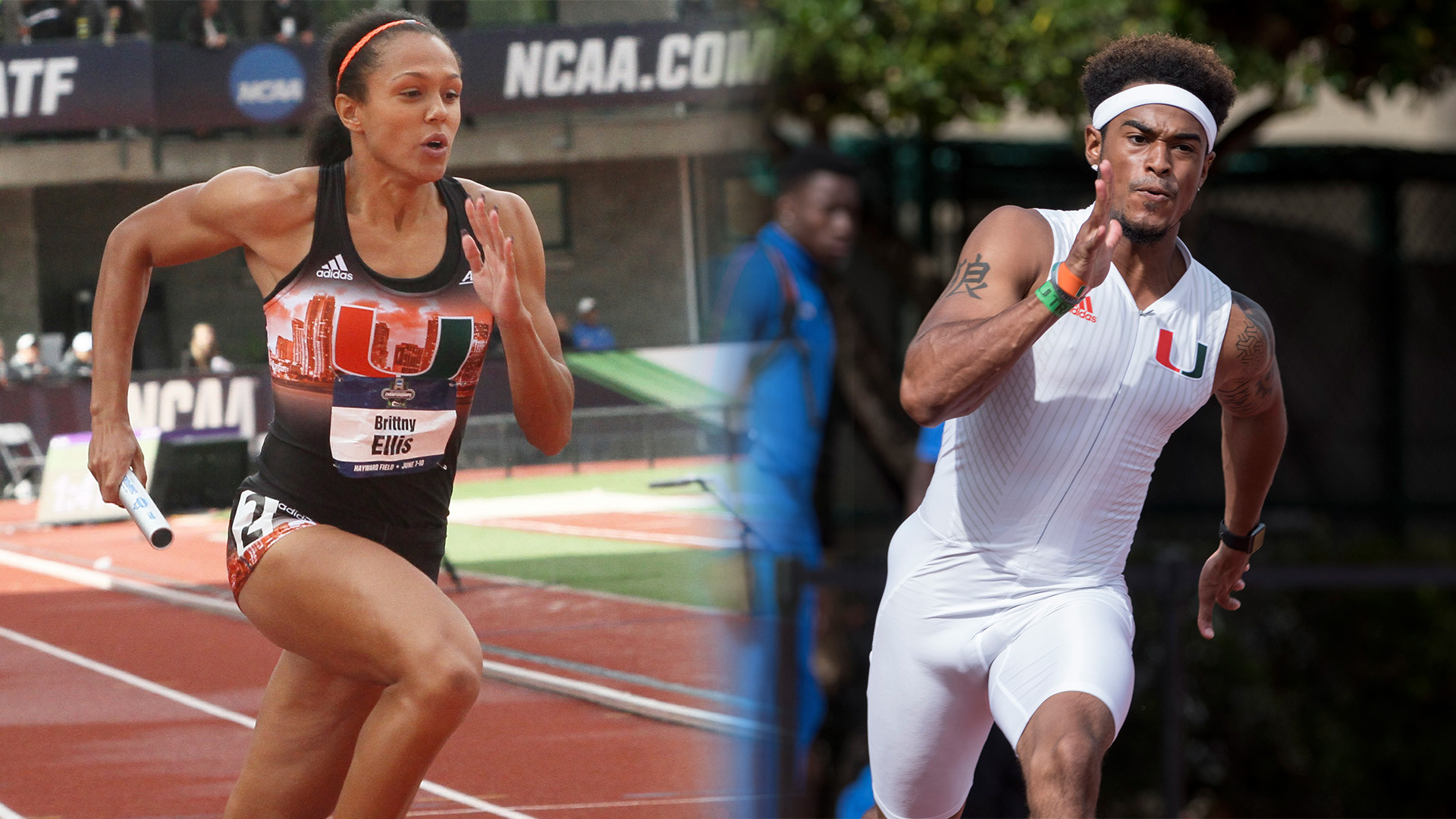 Track Earns All-Academic Team Honors