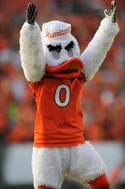 Sebastian the Ibis entertains fans in a game against the Georgia Tech Yellow Jackets at Sun Life Stadium on October 22, 2011.  Photo by Steven...