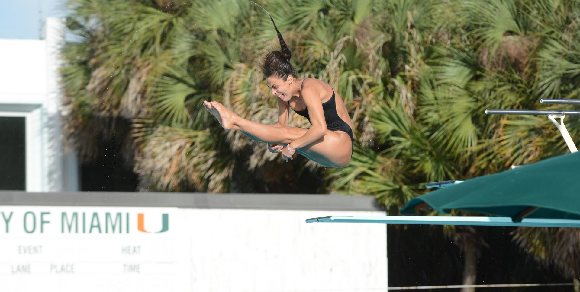 Diving to Send Five to 2016 NCAA Championships