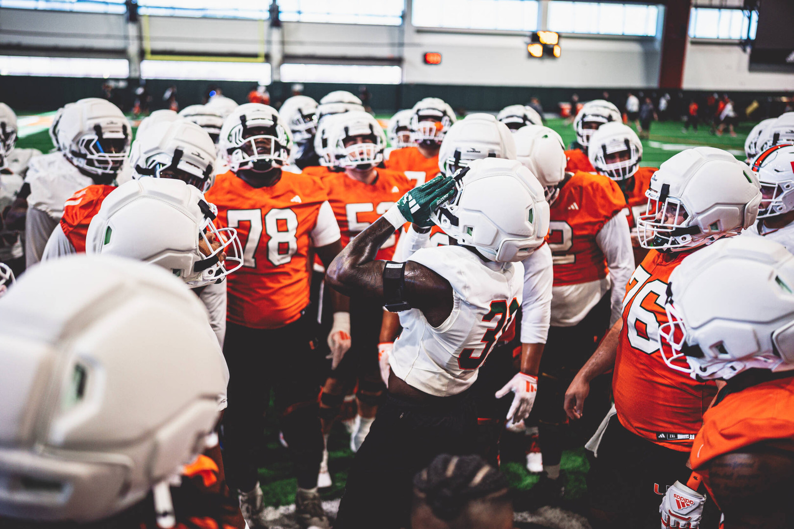Back on Greentree