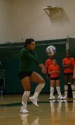 Miami Splits Six Games With Florida In Exhibition Action