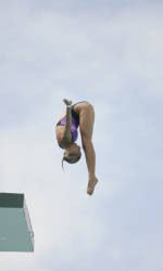 Hurricane Divers Compete in the 2007 AT&T USA Diving Grand Prix