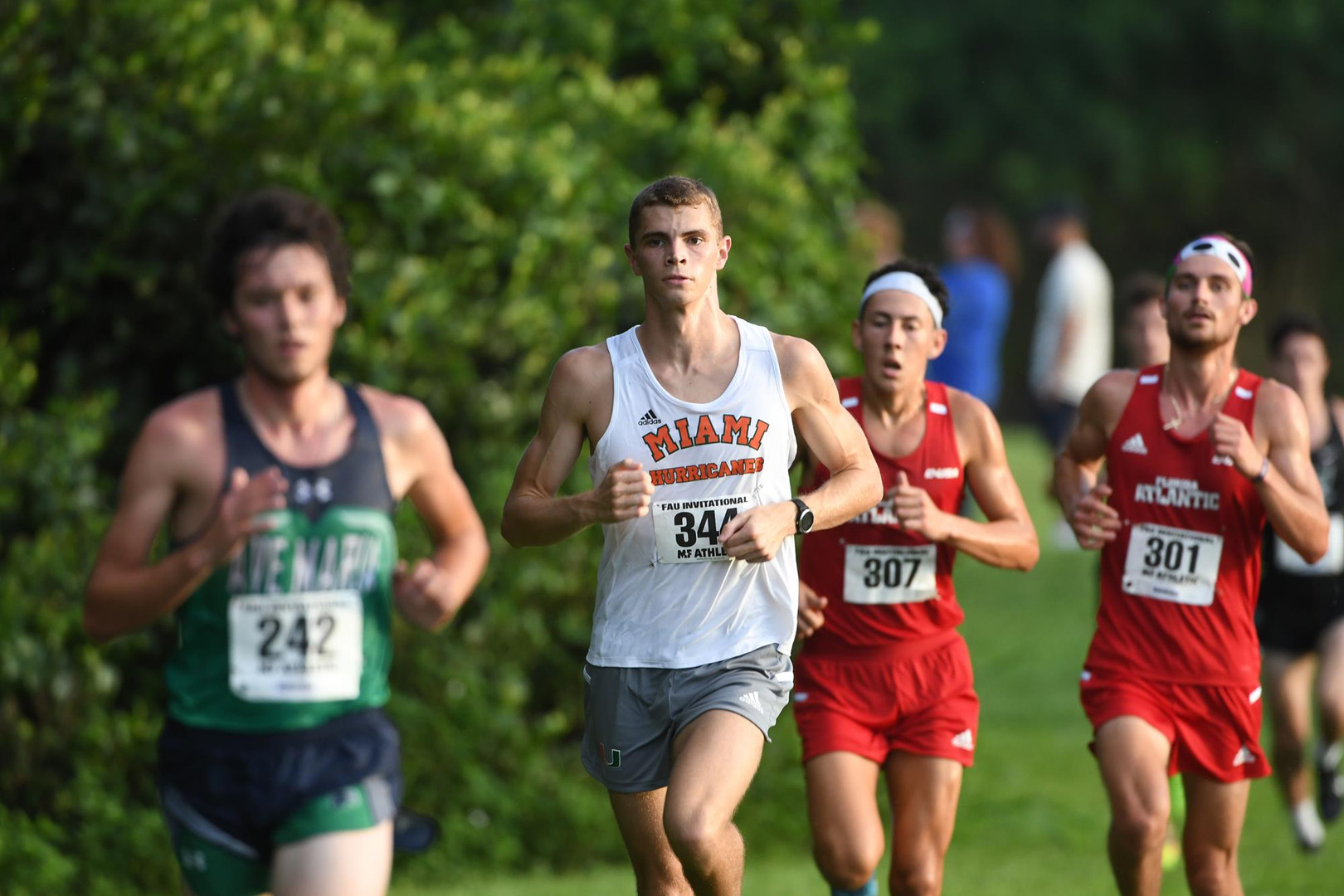 Wiefels and Co. Take on ACCs